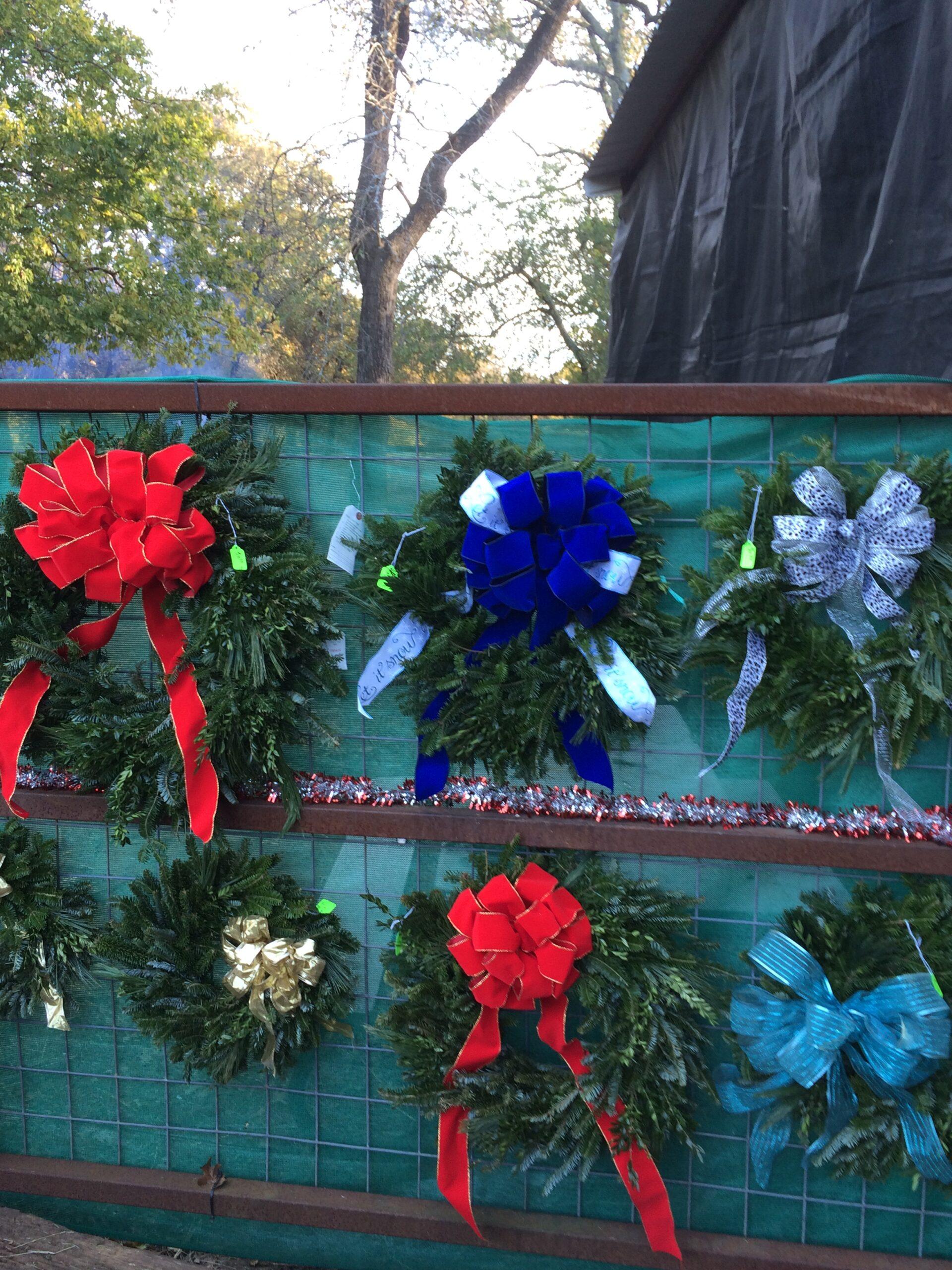 A row of our custom made wreaths available for sale at Haynie's Green Acres Christmas Tree Farm
