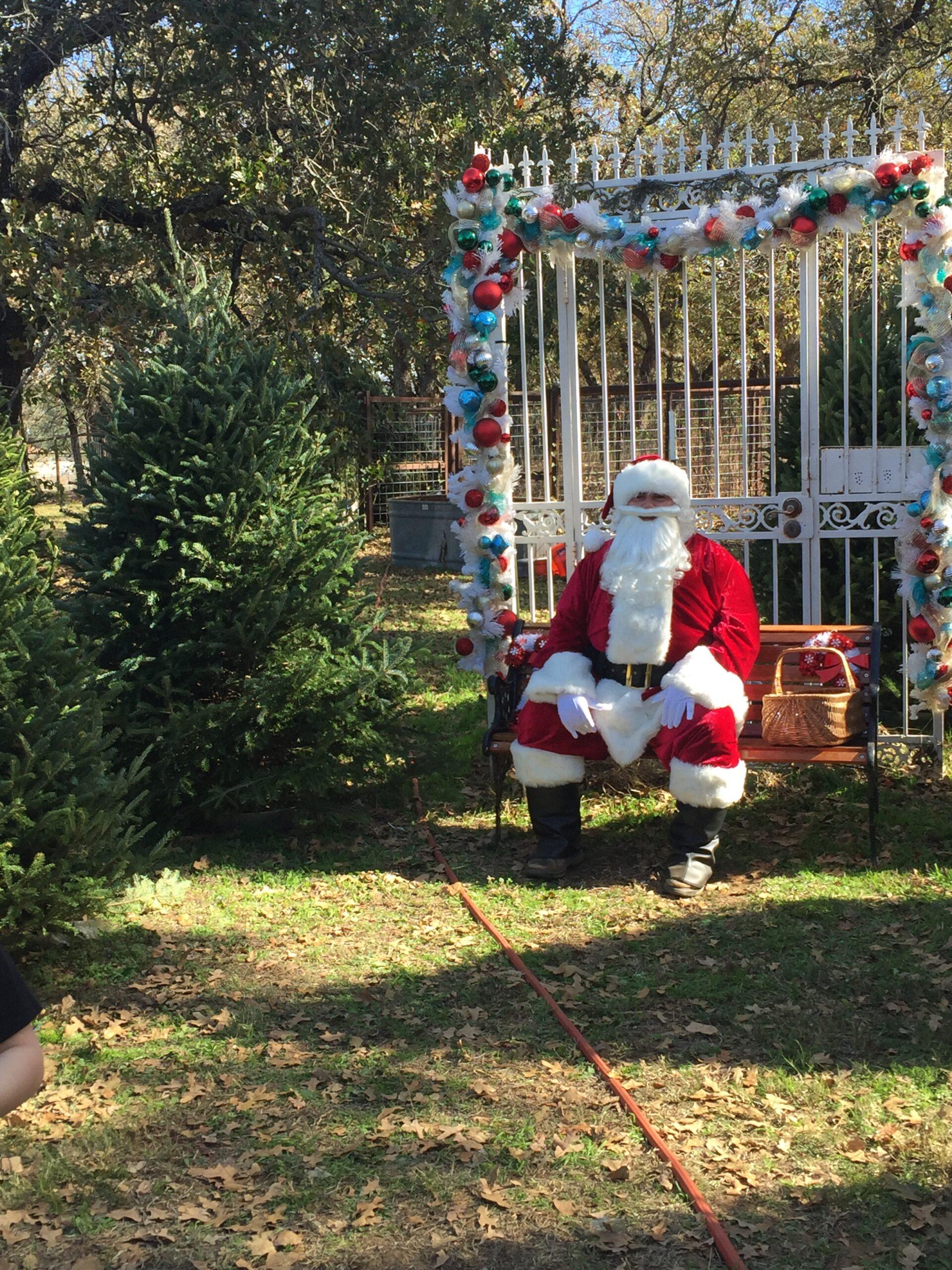 Santa sitting in front of a gate decorated at Haynie's Green Acres Christmas Tree Farm